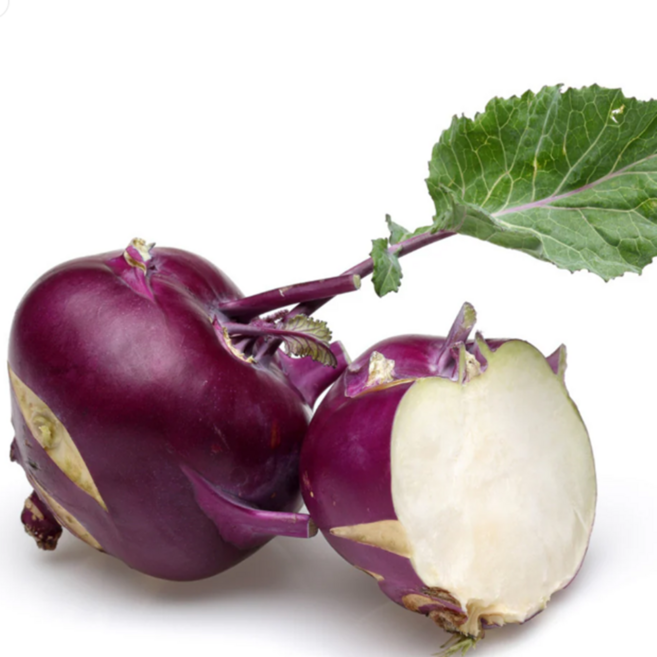 [선착순쿠폰할인] 초특가 고당도 제주 콜라비, 10kg, 1개