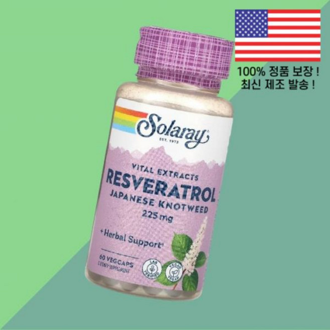 솔라레이 바이탈 추출물 레스베라트롤 레즈베라트롤 라스베라트롤 레스베라톨 일본 매듭풀 225mg 식물성 베지캡슐 60정 Solaray Vital Extracts Resveratr, 솔라레이 바이탈 추출물 레스베라트롤 라스베라트롤 레스베