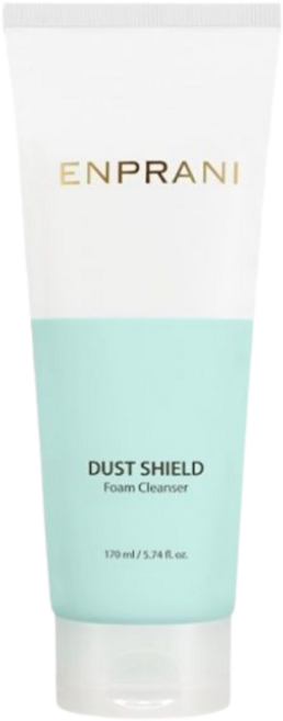 엔프라니 더스트 쉴드 폼 클렌저, 170ml, 1개