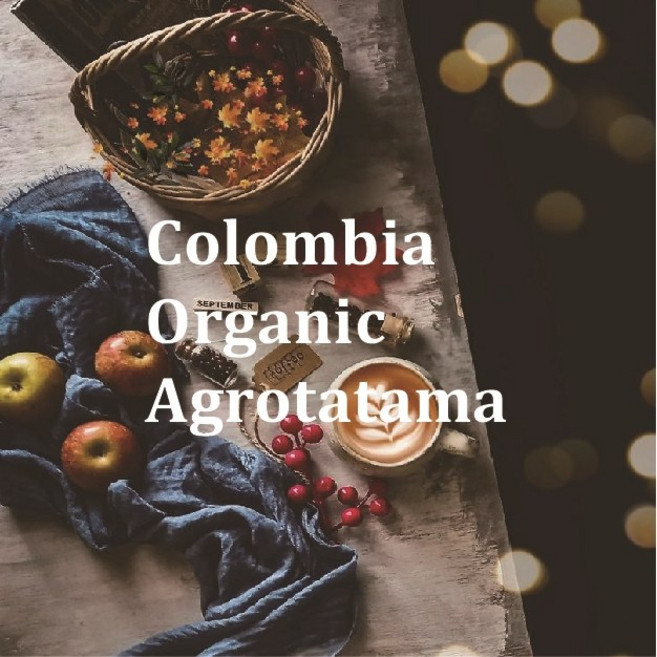 [300g] 콜롬비아 유기농 아그로타타마 _ 아띠제노스랩 스페셜티커피, 기타 (배송메세지에 기재), 1개, 300g, 1개입