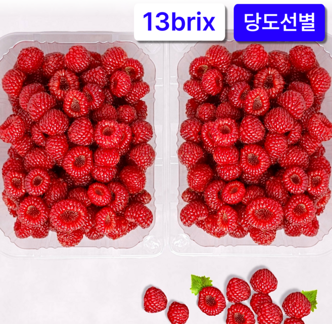 당도선별 제철과일 산딸기 생과, 2개, 250g