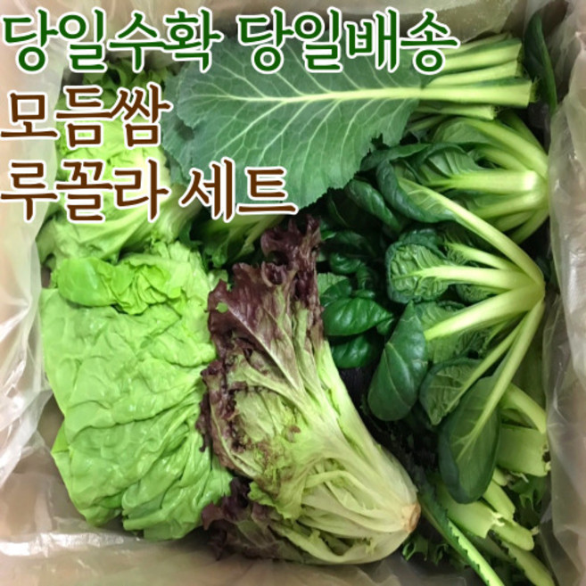 국산 모듬쌈채소 샐러드채소 루꼴라 세트 300g 1kg, 모듬쌈채소세트, 1개