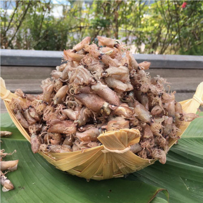 신건호멸치 직접잡은 햇 꼴뚜기(상급) / 반찬 건꼴뚜기 마른안주, 1개, 500g