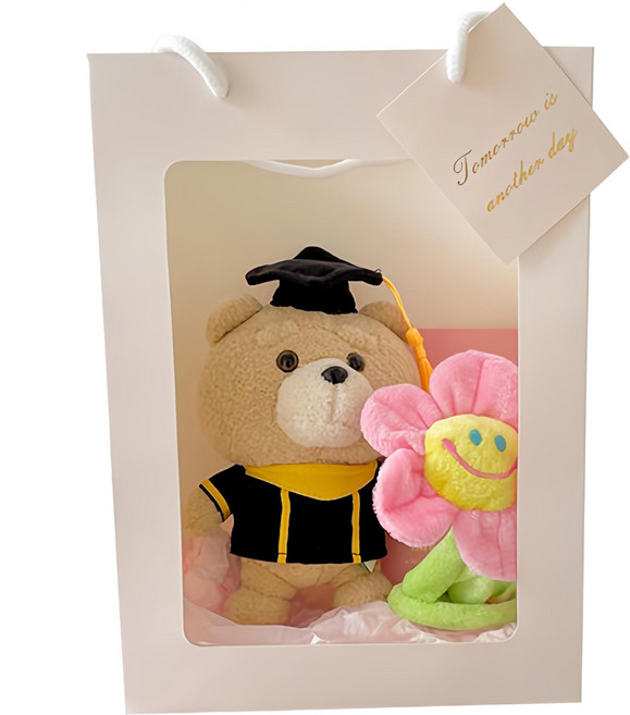 데이앤모어 미니 학사모 19곰테드 + 스마일 꽃다발 인형 선물세트 + 쇼핑백, 핑크, 1세트