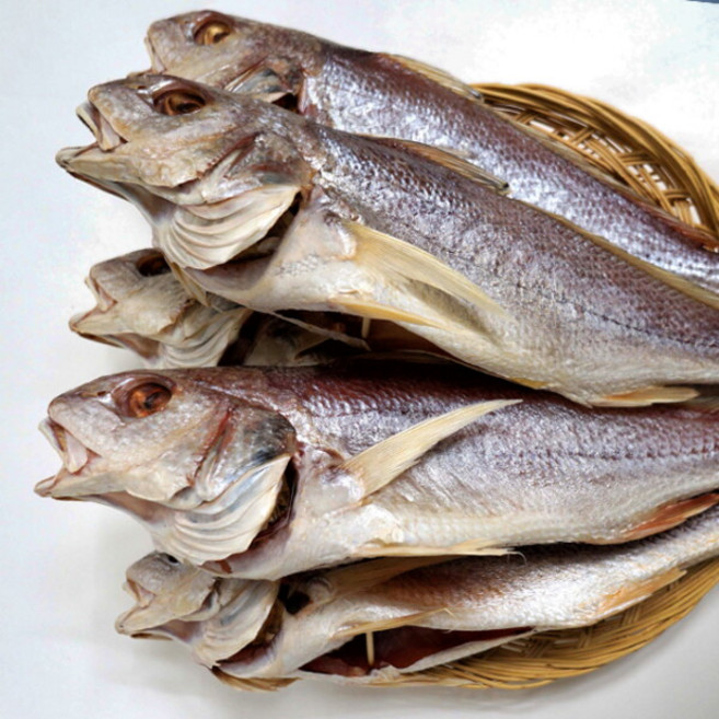 [사그담] 속초 중앙시장 맛집 반건조 민어 36cm 3마리, 1개