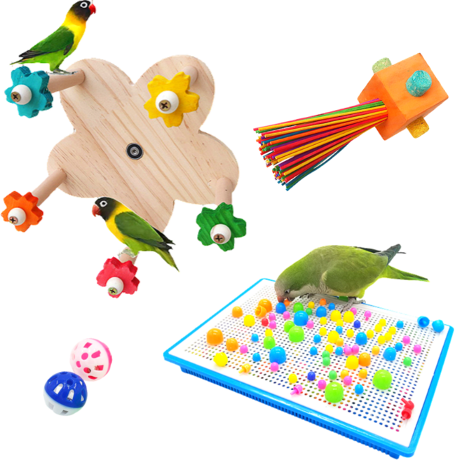 르브아 앵무새 장난감 세트 놀이터 놀이감 반려조 스트레스 해소 조류, 1세트, 새장에서 논다 A
