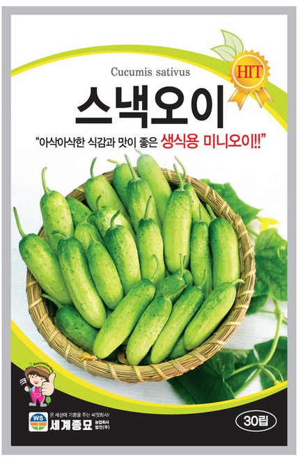 모칸도 세계종묘 열매채소씨앗 스낵오이 30립, 1개