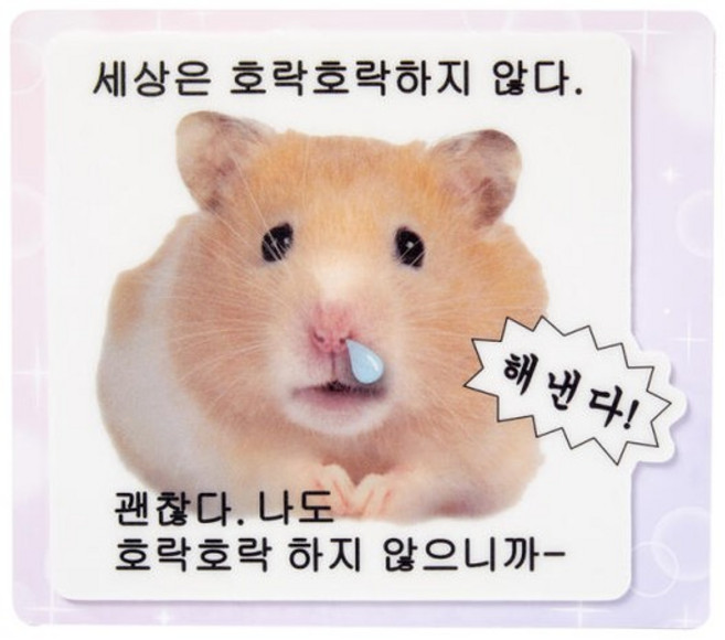 아트박스 마우스패드 해낸다햄스터, 단품없음
