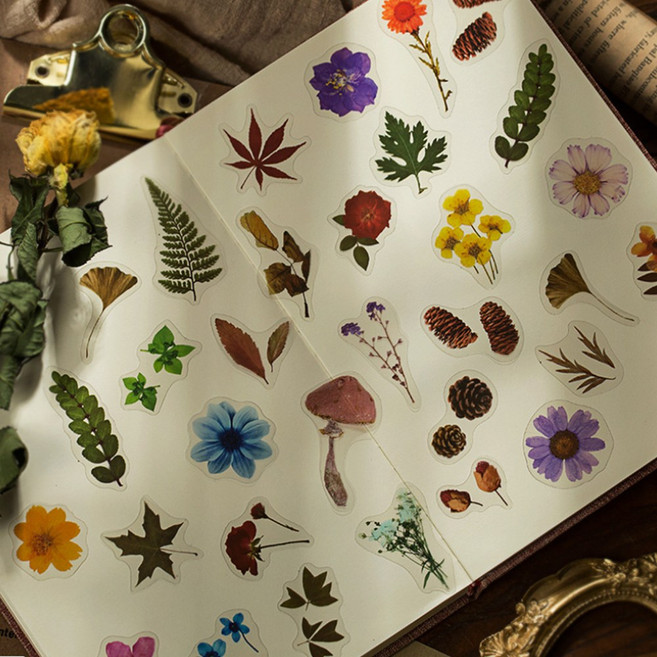 미니 꽃 플라워 꽃잎 압화 스티커 다이어리꾸미기 8종, 2.들국화 (ST-949)