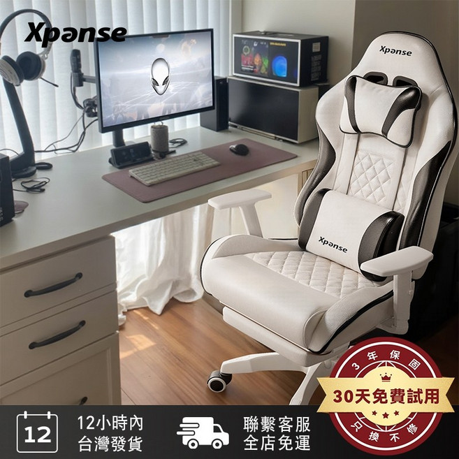 Xpanse 電競椅 可調節人體工學辦公椅 舒適電腦椅, X8雪影基礎款
