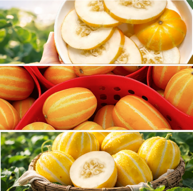 [한정특가]고당도 성주 꿀 참외 성주참외, 1박스, 2kg (가정용 혼합과)