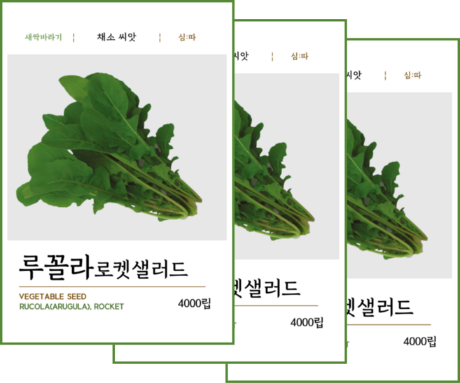 루꼴라 로켓 샐러드 씨앗 4000립, 3개