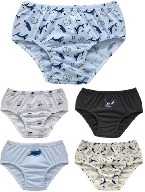 키즈스 남아용 고래 삼각팬티 5종세트