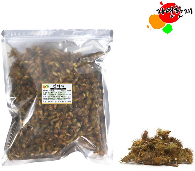 국산 창이자 300g 도꼬마리열매 자연산 야생, 1개