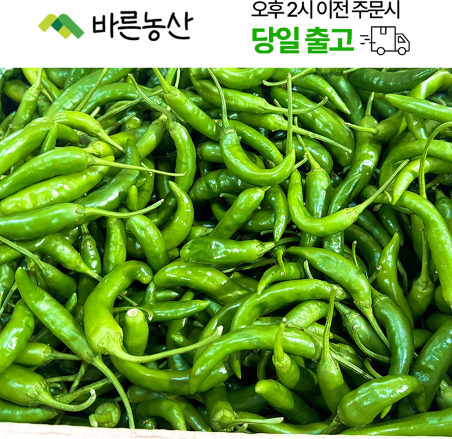 < 바른농산 > 국내산 청양고추 매운고추 땡초 못난이 상품 (1kg 2kg 3kg 5kg 10kg), 1개, 상 2kg