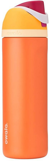Owala FreeSip 빨대 포함 단열 스테인리스 스틸 물병 BPA 프리 스포츠 여행에 적합 709.8ml(24온스) 데이브레이크_160228, 24온스