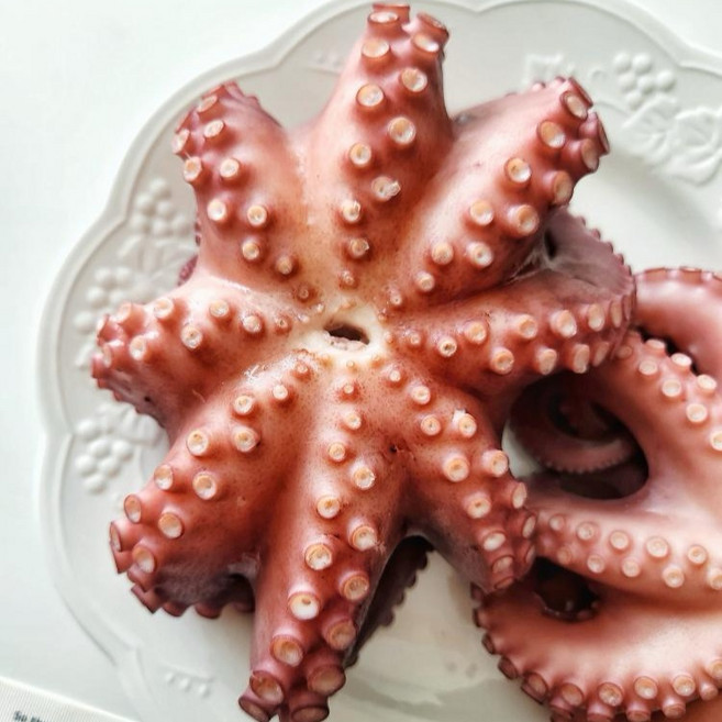 전라남도 고흥 프리미엄 돌문어 활문어, 1개, 1kg (2-3미)