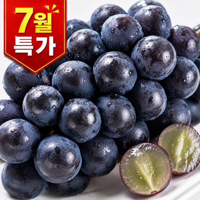 씨없는 거봉 포도 고당도 산지직송, 1박스, 500g