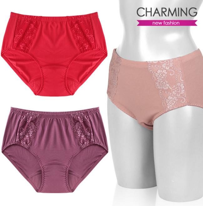 챠밍 여성 부인용 프리미엄 자수 기능성 요실금팬티 8100P