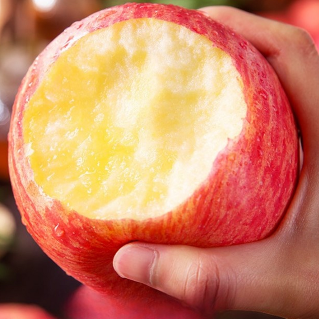 [마지막특가] 50박스한정 꿀범벅 황금당도 부사사과, 1박스, 10kg