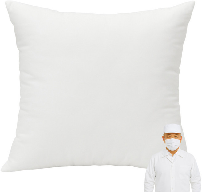 예그리나 빵빵한 푹신한 구름솜 지퍼형 진드기방지 사각 쿠션솜, 화이트, 2개