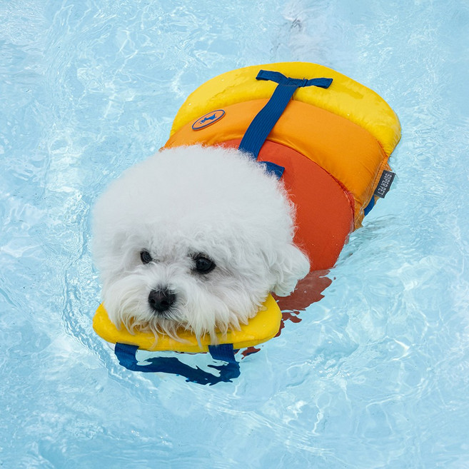 도그아이 강아지 플로트 구명조끼, 후르츠, 1개