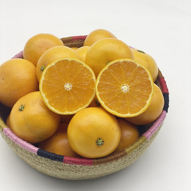 [제니네 제철과일] 진지향 산지직송 4월 제철 감귤 고당도, 1개, 5kg 대과