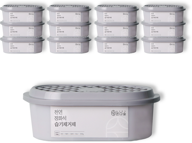 온다숲 반영구 천연제습제 습기제거제 정화석 탈취까지, 300g, 13개