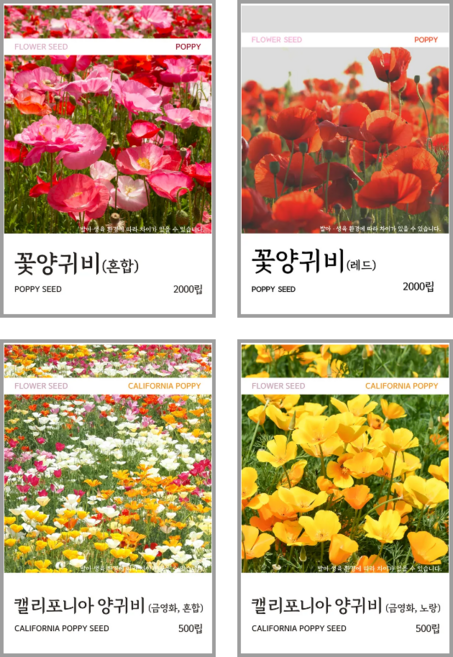 새싹바라기 꽃양귀비 씨앗 4종, 4개