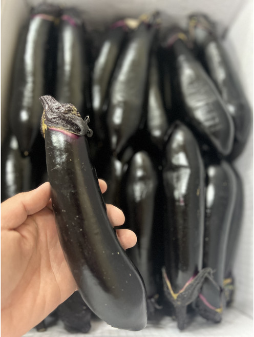 국내산 가지 보라가지 못난이 1kg, 1개, 가지 상 1kg