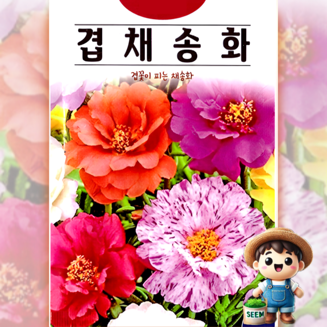 겹채송화 혼합 씨앗(1000립)채송화 꽃씨 종묘 종자 씨 영웅 KS, 1개