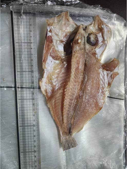 골라담는 반건조생선 놀래미 민어 도미 우럭 열기 솜뱅이 농어, 중2마리, 1개