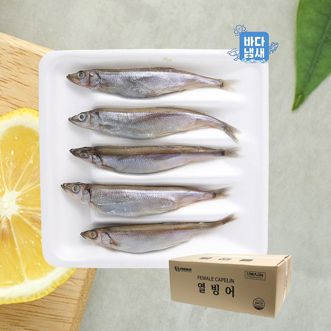 대용량 업소용 냉동 시사모 4L 열빙어 6.6kg (550g x 12봉), 1