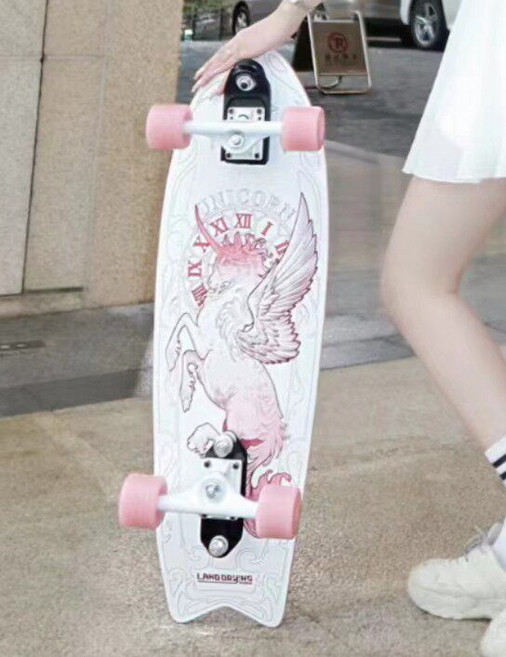 專業免蹬陸地衝浪板 滑板 轉向橋 刷街 初學者 專業板 衝浪滑雪練習板, 如圖所示, 1個