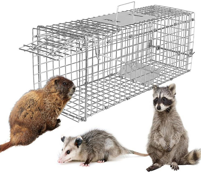IMounTEK Humane Animal Trap 살아있는 동물 트랩 캐치 설치류 케이지 접이식 아연 도금 와이어 새끼 고양이 다람쥐 토끼 작은 너구리 그라운드호그 아르마딜로/, IMounTEK Humane Animal Trap 살아