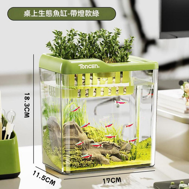 Toncen. 小型桌上mini生態魚缸, 綠色 - 大號, 1個