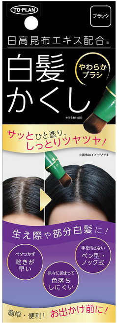 TO-PLAN 日高昆布エキス配合 白髪かくし (柔順刷頭) 瞬間補色 乾爽不黏膩 筆型設計, 1個, 黑色