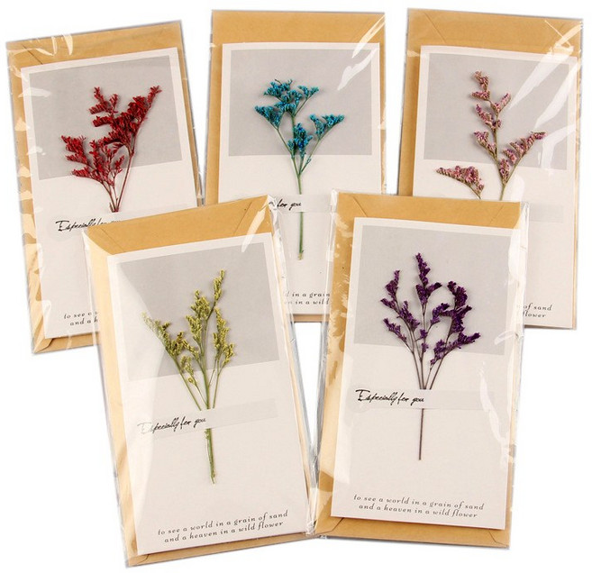 드라이 플라워 카드 엽서 축하 감사 5종세트