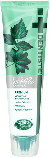 덴티스테 뉴 플러스화이트 치약 튜브, 60g, 10개