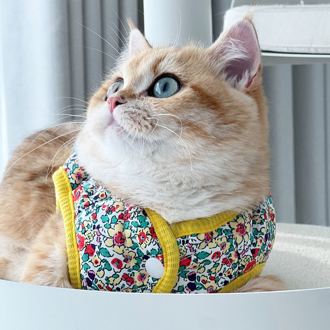 부투펫 고양이옷 고양이조끼 전용 옷 양털 꽃무늬 김장 할매 할머니 수면, 1개, 옐로우