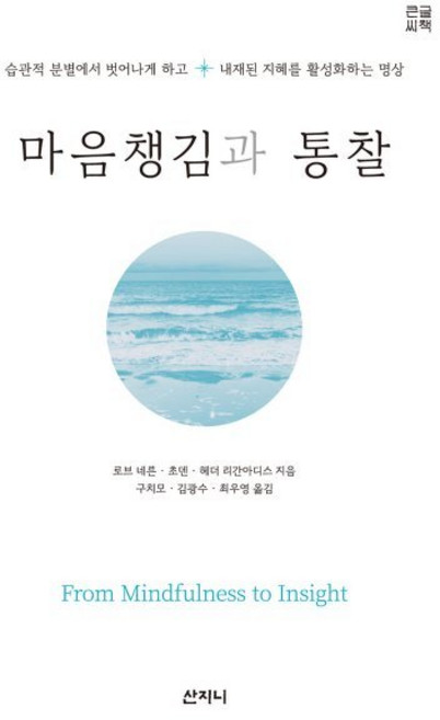 마음챙김과 통찰(큰글씨책):습관적 분별에서 벗어나게 하고 내재된 지혜를 활성화하는 명상, 산지니, 로브 네른