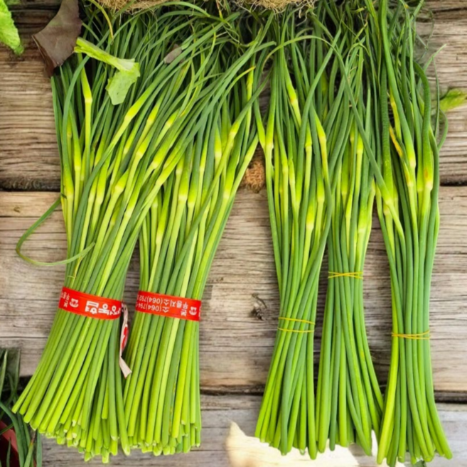 국산 마늘쫑 남해 풋마늘 국내산마늘쫑, 200g, 1개