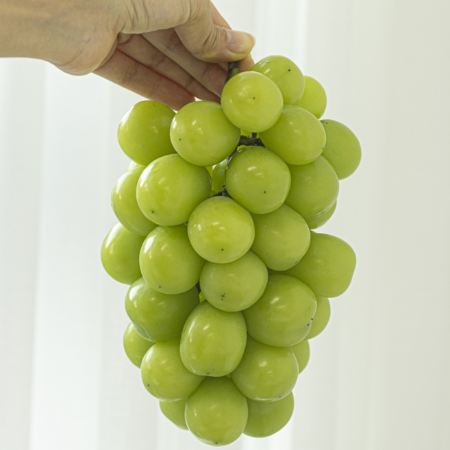 특품 샤인머스켓 고당도 개별포장, 1박스, 2.5kg