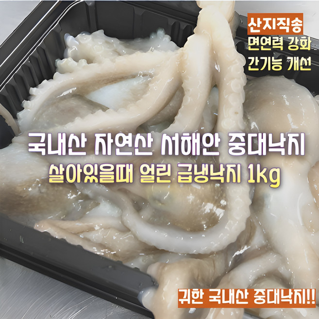 [산지직송] 100% 국내산 자연산 서해안 살아있을때 급냉 최고급 중대낙지 선물용 가정용, 1박스, 서해안 살아있을때 급냉 최고급 중대 낙지