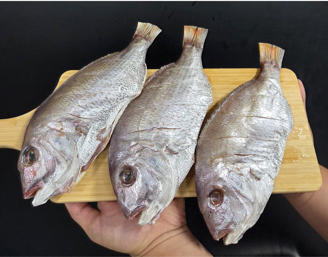 [신서수산]반건조 참돔 3미 250~340g [원산지:국산(전라남도 완도군)], 1개, 3미소