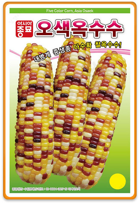오색 찰옥수수씨앗 100립, 3개