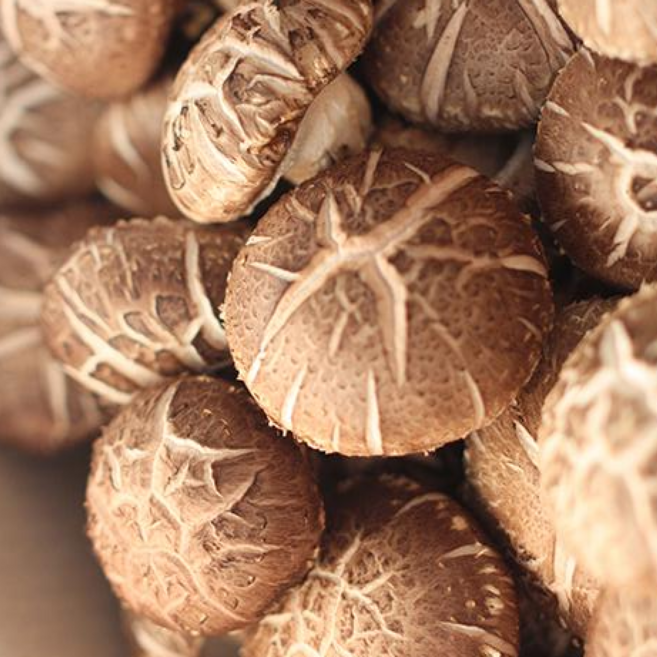 국내산 무농약 친환경 표고버섯 shiitake mushroom, 1박스, 8kg (정품)