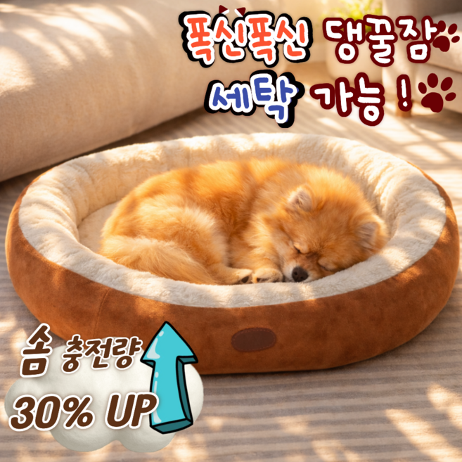 비오렌 고밀도 강아지 방석, 1개, 브라운