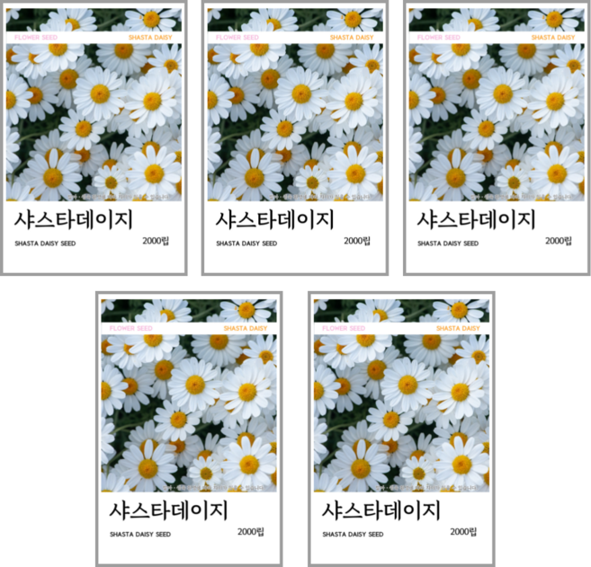 샤스타데이지 씨앗 2000립(코팅 종자 8g), 5개