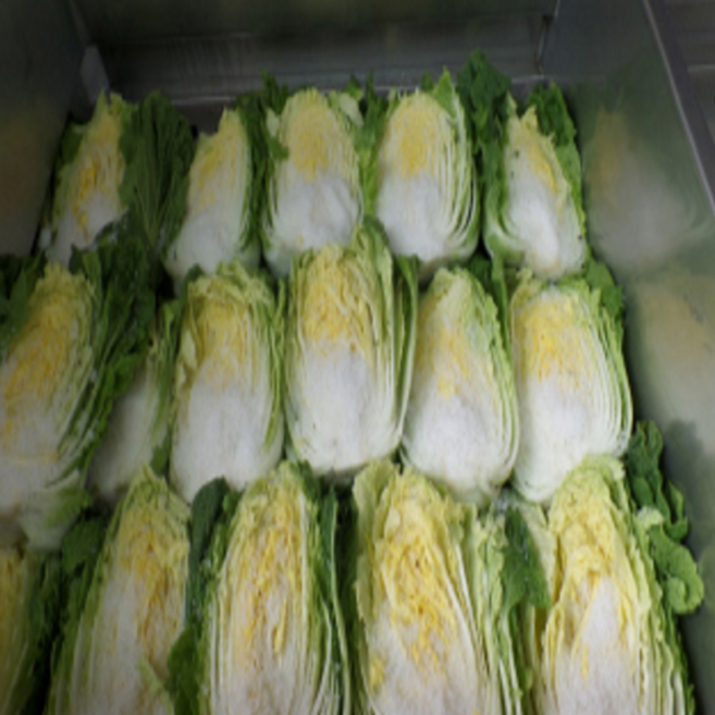 해남 절임배추 무농약 김장배추 20kg, 2~3일 발송 가능, 1박스